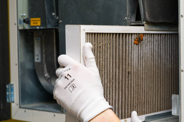 Best HVAC Duct Inspection Services  in Jasper, TX