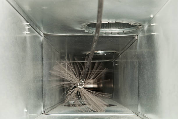 Best Affordable Duct Cleaning Services  in Jasper, TX