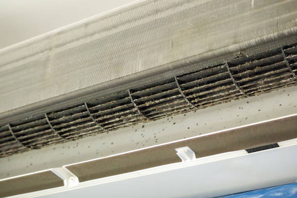 Best HVAC Duct Inspection Services  in Jasper, TX